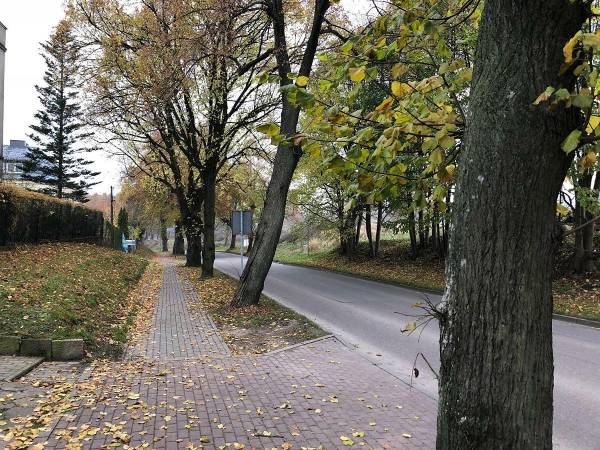 Apartament Perla Kartuz Z Sauna Kartuzy Exteriér fotografie